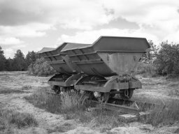 IMGP6050-1_Transport vogne